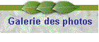 Galerie des photos